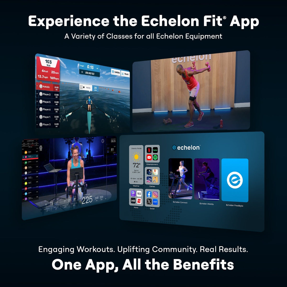 Echelon Summit Stairmill Home